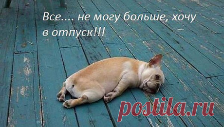 Интересные новости