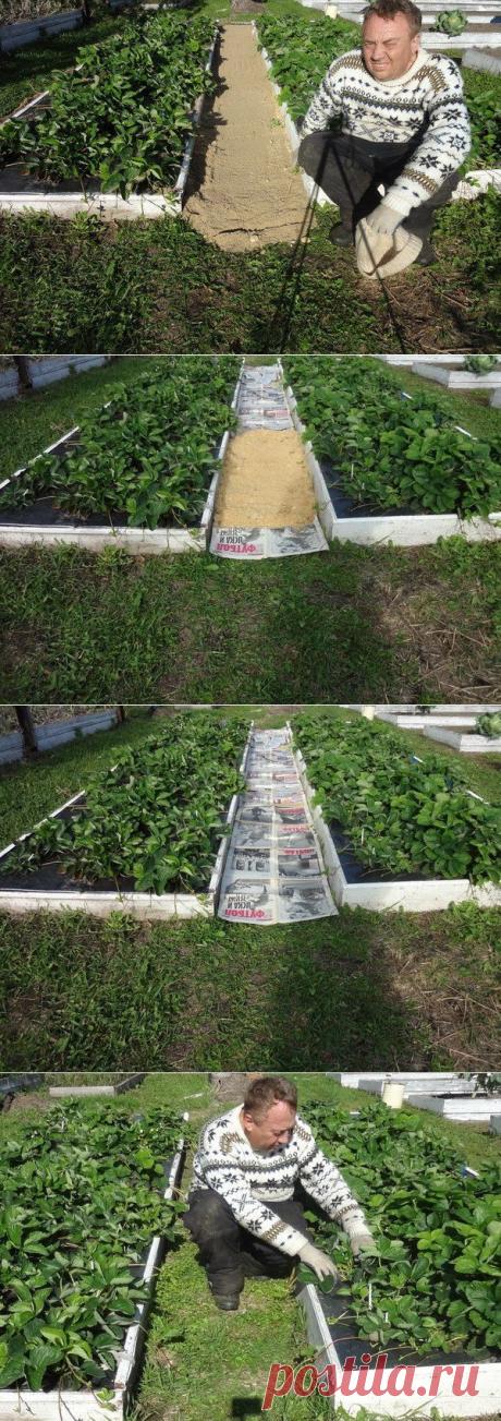 КАК СДЕЛАТЬ ЧТОБЫ В ПРОХОДАХ МЕЖДУ ГРЯДКАМИ ТРАВА НЕ РОСЛА | Хитрости Жизни