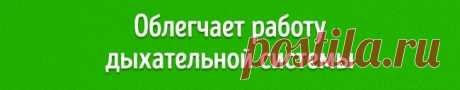 7 свойств лаврушки, о которых мы даже не подозревали