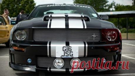 Ford Mustang / Только машины