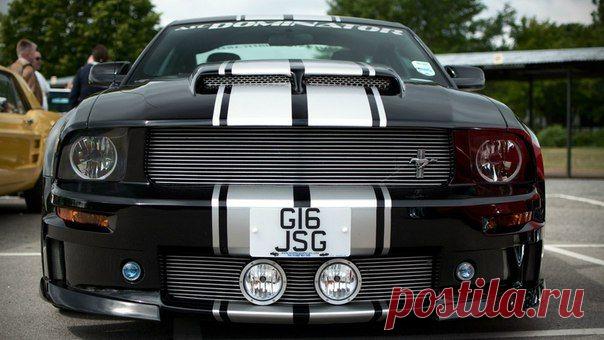 Ford Mustang / Только машины