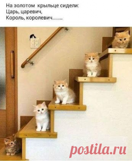 Google+