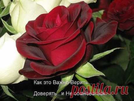 В моей душе нет места злу…
Все занято людьми, которых я люблю!