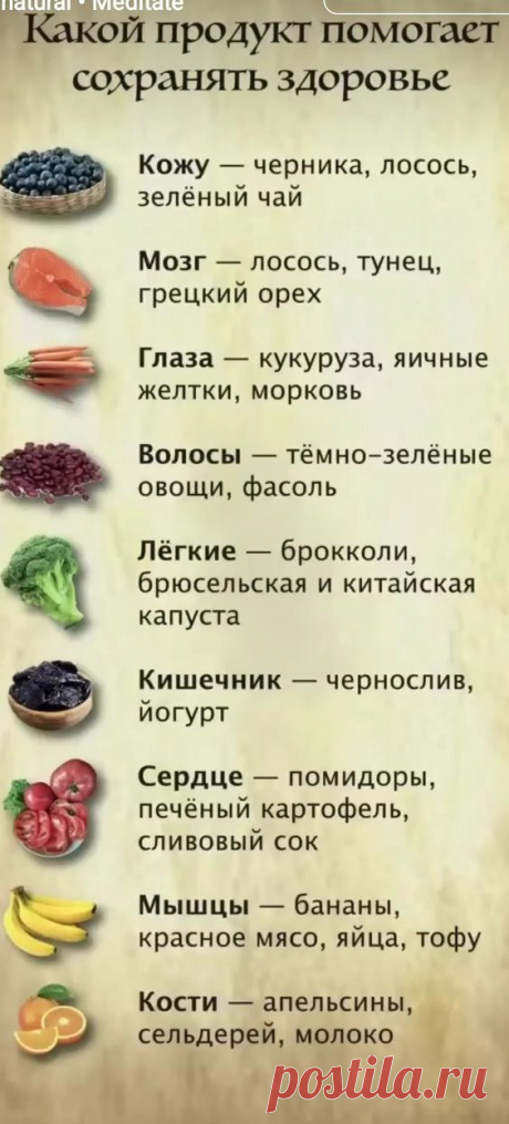 https://i.pinimg.com/564x/ac/72/86/ac72866708d15e4779e4f4e68553be01.jpg