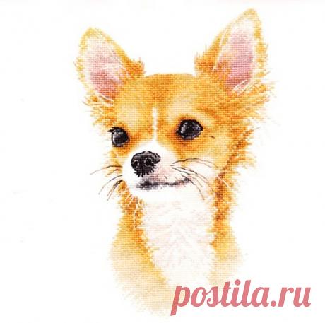 #вышивка #схемы #рукоделие #handmade #хомячки #clubrucodelnic #Животные