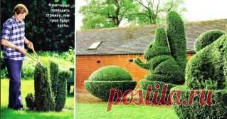 (12) Одноклассники