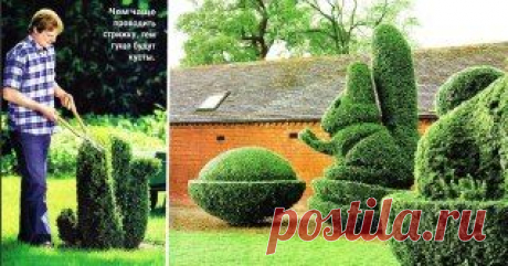 (12) Одноклассники