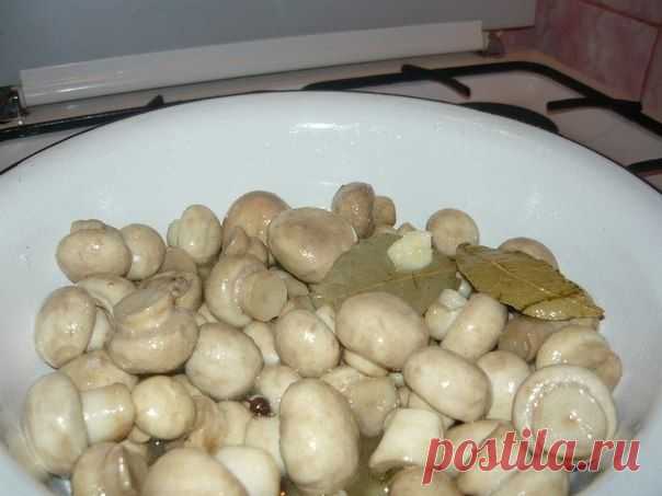 Маринуйте грибы сами