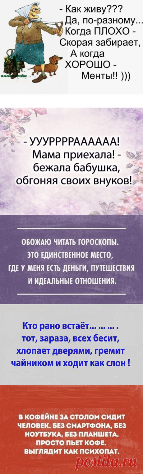 Анекдоты в пятницу