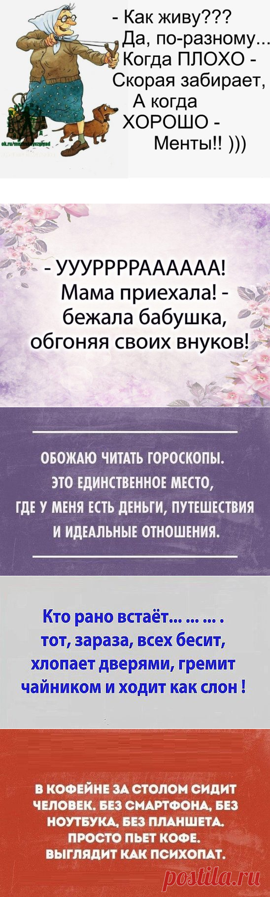 Анекдоты в пятницу