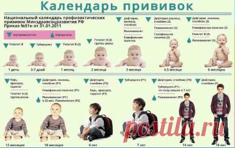 Календарь прививок