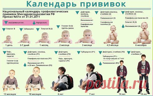 Календарь прививок