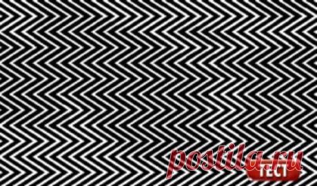 Только 1 человек из 11 может увидеть здесь скрытое изображение! 
 
Последнее время стали популярны разного рода оптические иллюзии. Действительно, это очень приятный способ заставить свой мозг воспринимать реальность под другим углом. Всем кажется, что они просто …