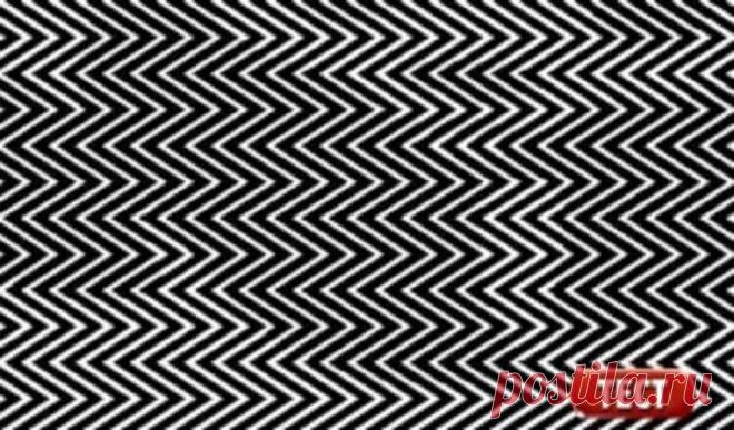 Только 1 человек из 11 может увидеть здесь скрытое изображение! 
 
Последнее время стали популярны разного рода оптические иллюзии. Действительно, это очень приятный способ заставить свой мозг воспринимать реальность под другим углом. Всем кажется, что они просто …