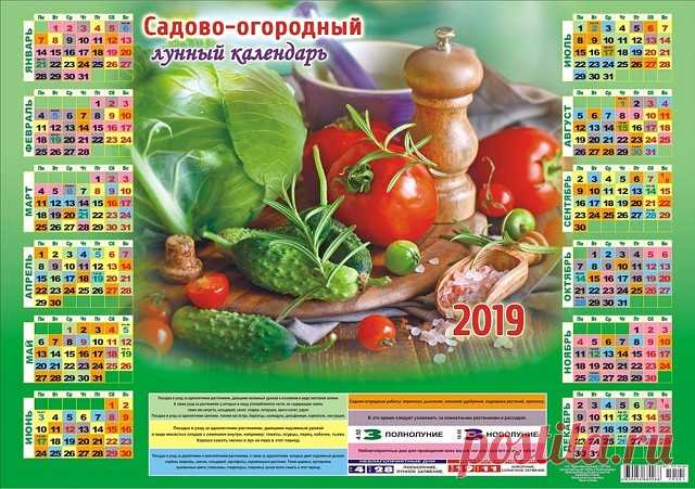Лунный календарь - так ли он необходим при посадке томатов?
Можно выбрать 2 ответа.