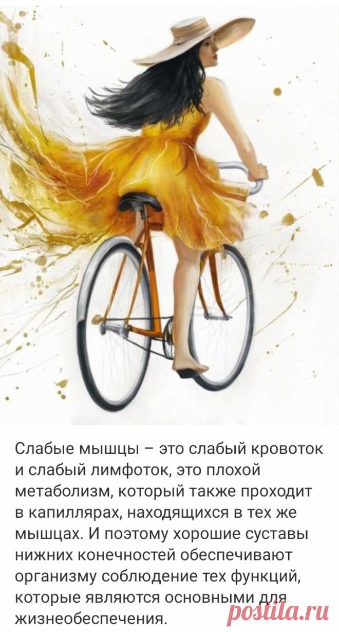 Мышцы нижних конечностей не только сгибают и разгибают суставы ног при передвижении, но и качают кровь – то есть отвечают и за гемодинамику, и за лимфодинамику. 
А ведь в лимфатических сосудах и органах находится наша иммунная система!

❗ «Здоровая спина»
✔ БЕСПЛАТНЫЙ ПРАКТИКУМ