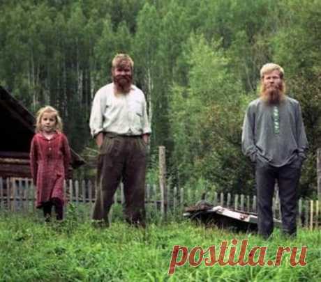 (1) Одноклассники