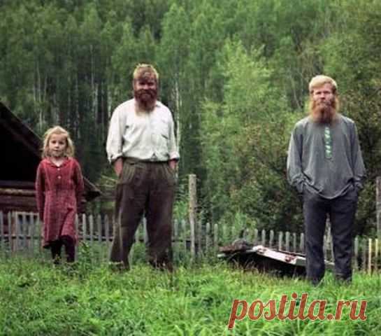 (1) Одноклассники