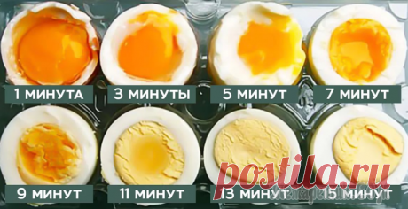 Яйца, омлеты, матушка Пуляр и другие
