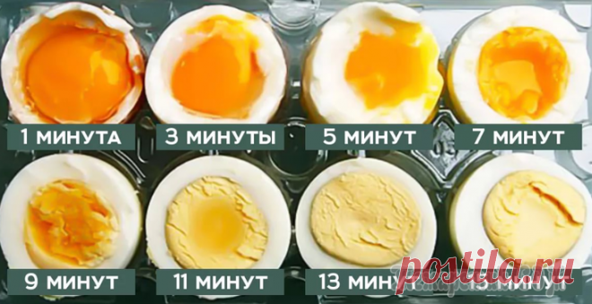 Яйца, омлеты, матушка Пуляр и другие