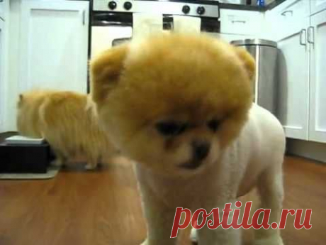 BOO - YouTube
