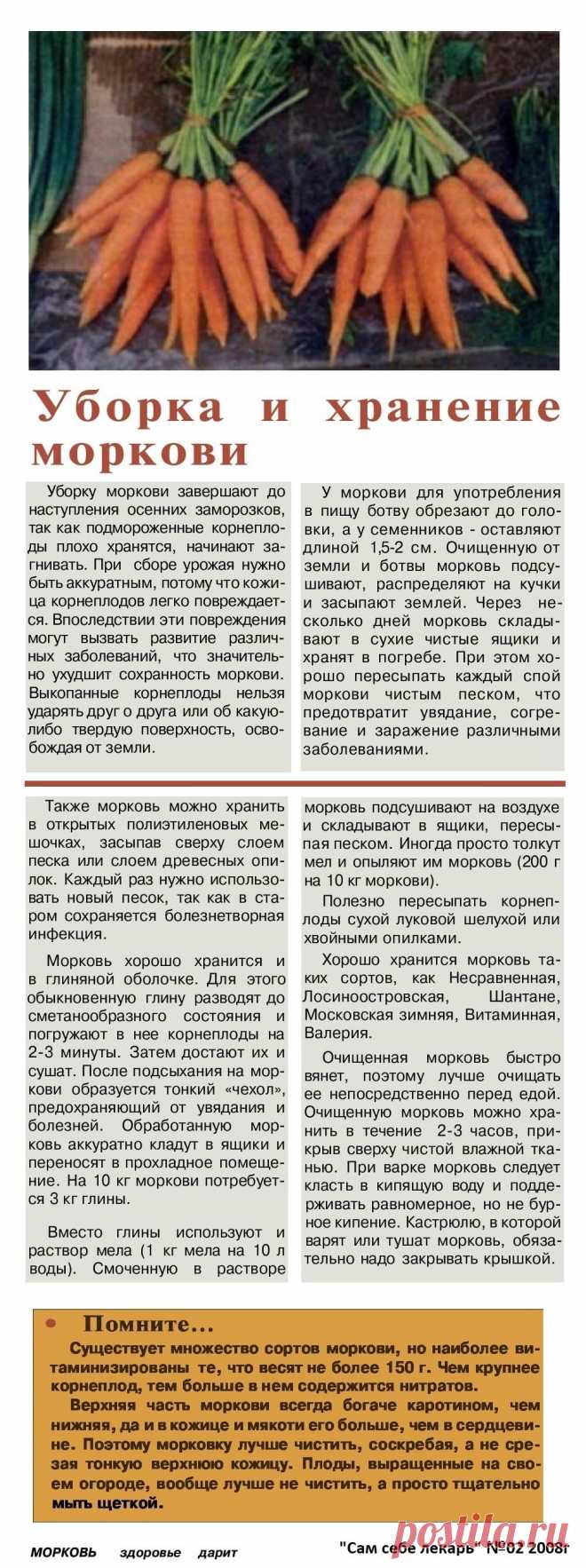Уборка и хранение моркови