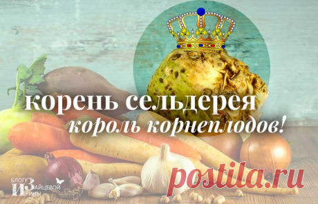 Корень сельдерея Полезные свойства Применение | Блог Ирины Зайцевой