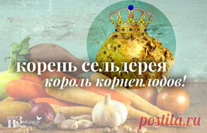 Корень сельдерея Полезные свойства Применение | Блог Ирины Зайцевой