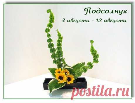 Икебана с подсолнухами. Процесс работы | 15 фотографий
