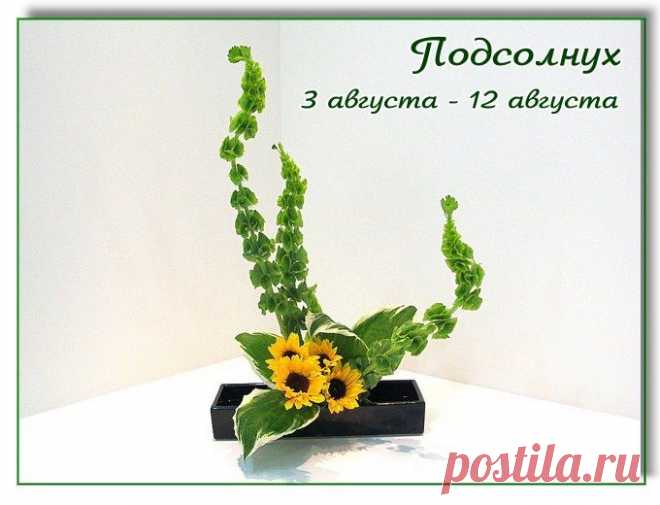 Икебана с подсолнухами. Процесс работы | 15 фотографий
