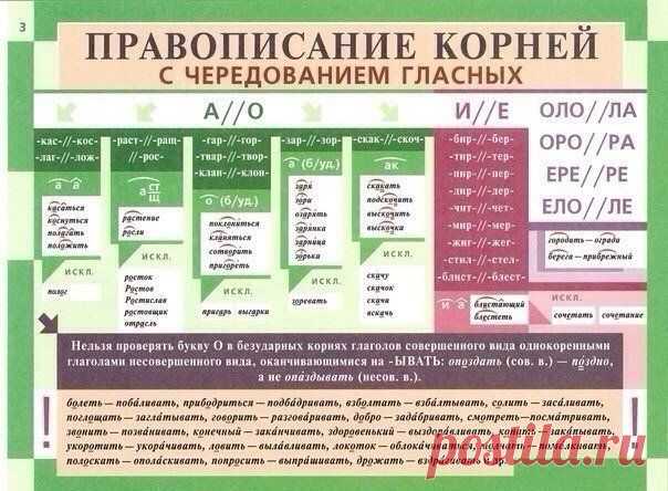 Освежаем в памяти грамматику русского языка | Хитрости Жизни