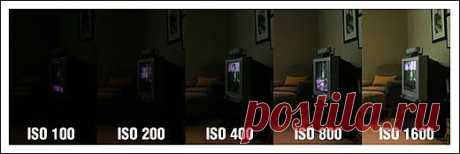 ISO фотоаппарата | Основы фотографии