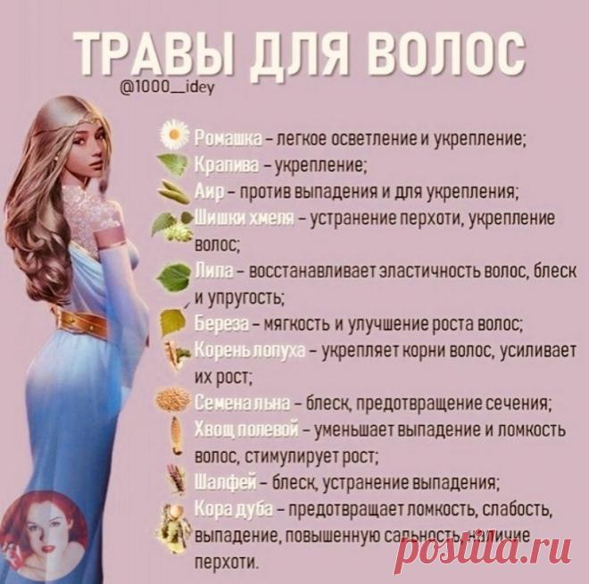 Пин содержит это изображение: Травы для волос
