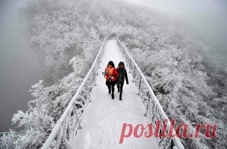 euronews - euronews изменил(-а) свое  обложки.