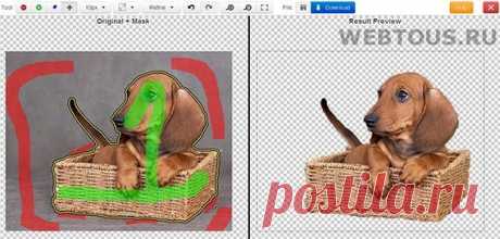 Как легко и быстро удалить фон с фотографии онлайн