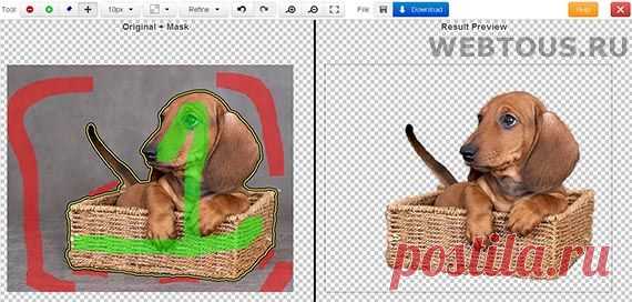 Как легко и быстро удалить фон с фотографии онлайн