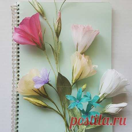 Instagram in all its wisdom, decided that I needed more "kawaii" things, shotguns, and videos of budgies in my life.  Here is some tottemo kawaii~~~ lisianthus (It was a popular flower in Japanese flower shops in the 90's. Is that still the case?) and some unnaturally blue tweedia to go with it.