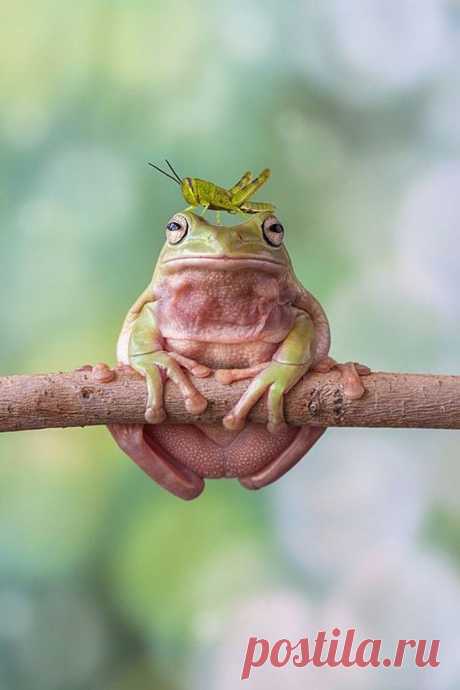 хх