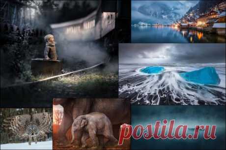 Неземная красота! 19 лучших фото 2017 года Фотографический сервис Flickr выложил 25 лучших фотографии 2017 года, большая часть которых сделана не профессиональными фотографами, а &quot;серьезными любителями&quot;. Фото оценивалось не жюри, а хитрым алго...