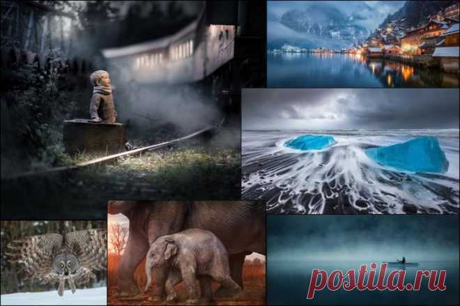 Неземная красота! 19 лучших фото 2017 года Фотографический сервис Flickr выложил 25 лучших фотографии 2017 года, большая часть которых сделана не профессиональными фотографами, а 