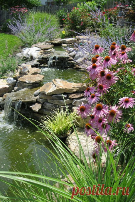 Relaxing Garden And Backyard Waterfall.