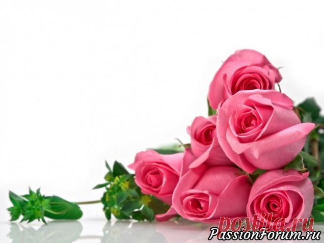 Цветы - запись пользователя Солнышко (Ирина) в сообществе Картинки для творчества в категории Цветы и натюрморты