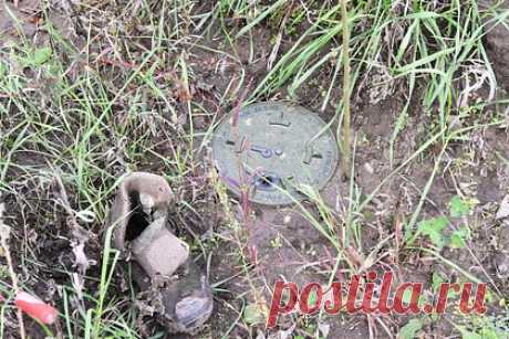 В ЛНР рассказали об обучении подростков в украинских военных лагерях. С начала проведения специальной военной операции на территории Луганской и Донецкой народных республик (ЛНР и ДНР) было задержано большое количество корректировщиков, в том числе подростки, проходившие обучение в украинских военно-патриотических лагерях. Об этом рассказала военнослужащая Второго армейского корпуса ЛНР.
