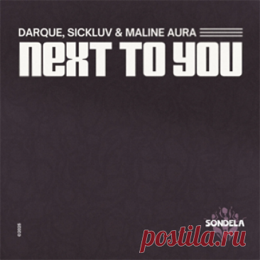 Darque, Sickluv, Maline Aura - Next To You (Extended Mix) | 4DJsonline.com