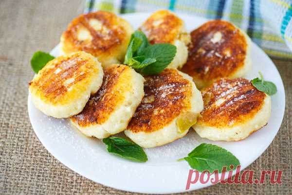 Пленительный вкус: сырники по бабушкиному рецепту — Journal women