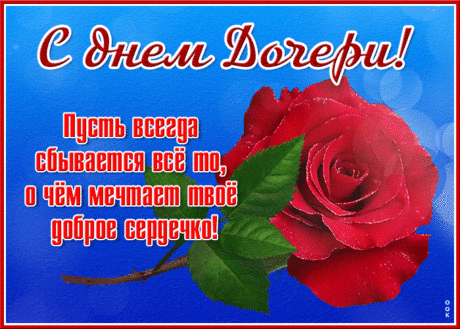 Всех дочурок поздравляю!
Вы улыбками своими
Украшайте этот свет,
И успехами большими
Жизнь вознаградит в ответ!