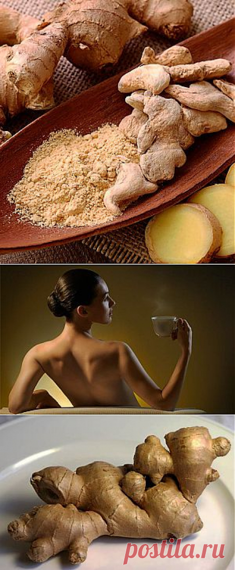Имбирь для здоровья и красоты - полезные свойства | Ladies venue