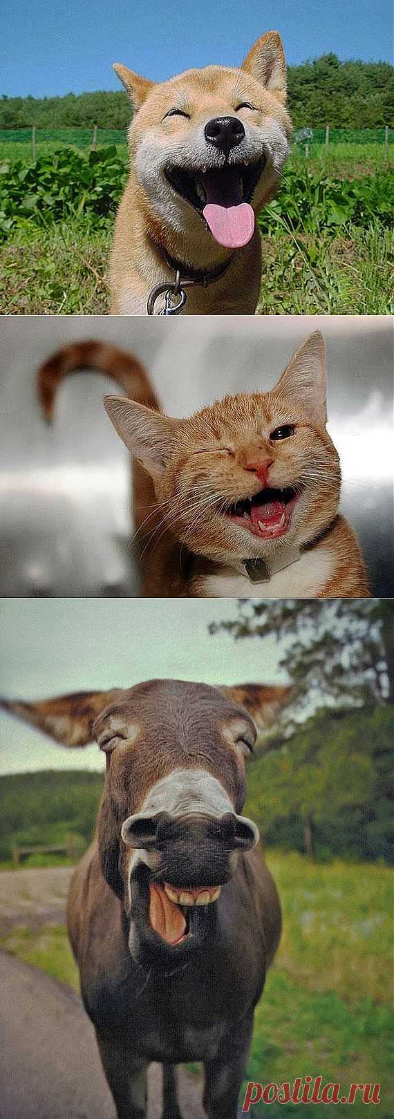 Улыбаемся и машем! | Экстремал