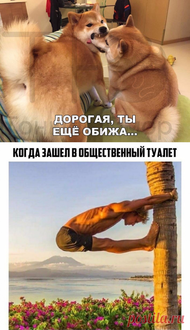 Доброе утро! Удачного дня! Хорошего настроения!