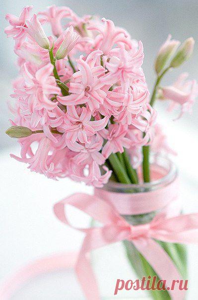 Запах любимого — это нежность, Верность и радость, уют и покой. Самая сладкая безмятежность, Что накрывает огромной волной. Запах любимого — это сказка С добрым сюжетом и верой в мечту. Это под утро тепло и ласка, Это прыжок за звездой в высоту. Мир, где не делится все на части, Без одиночеств, красивый, другой. Запах любимого — это счастье, Очень простое, с названьем любовь.